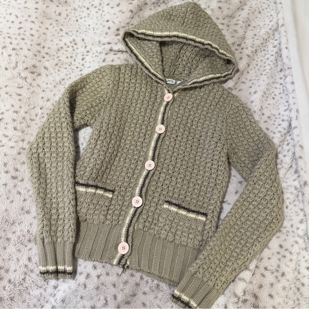 Y2K Cozy Hooded Sweater